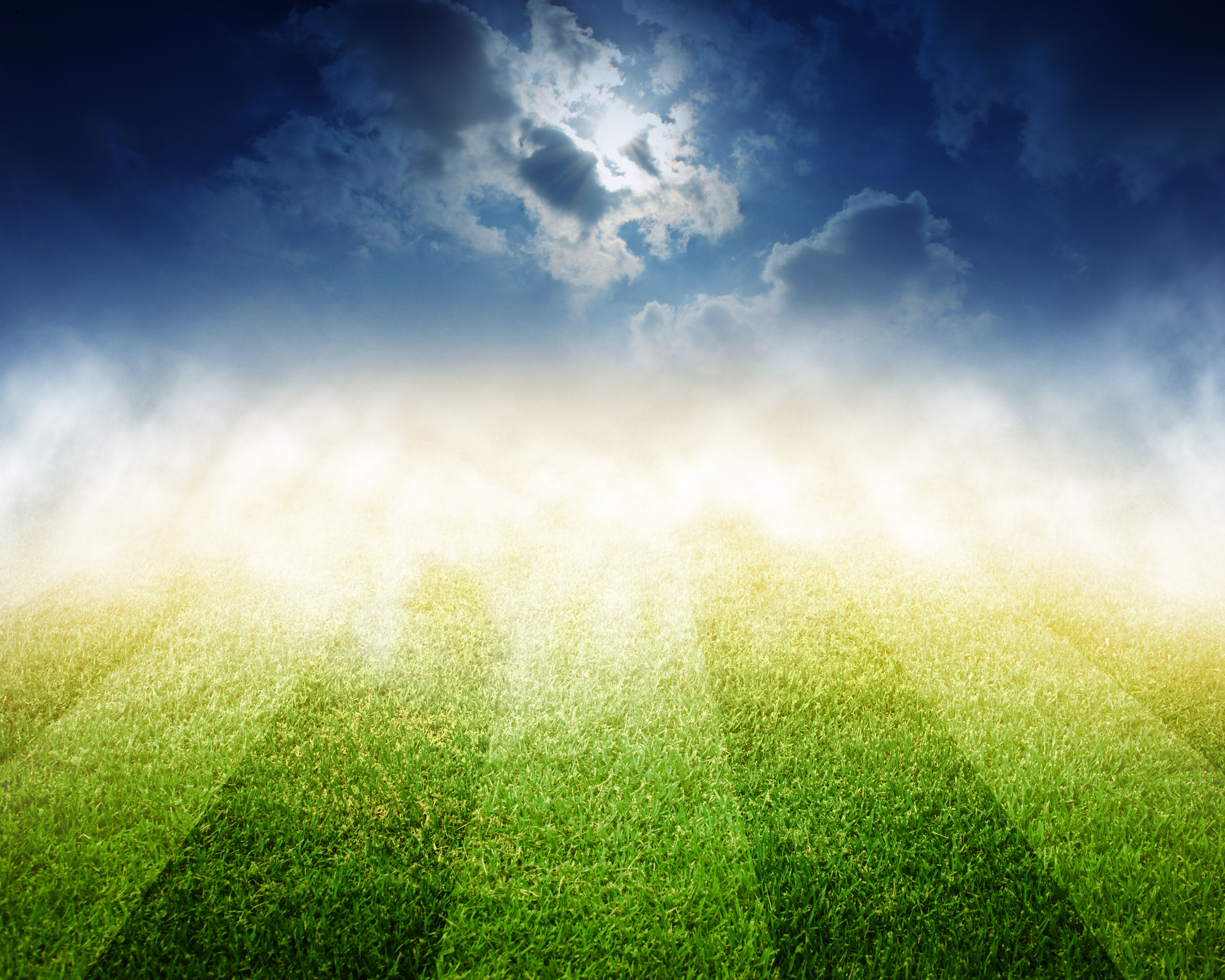 soccer field stadium background