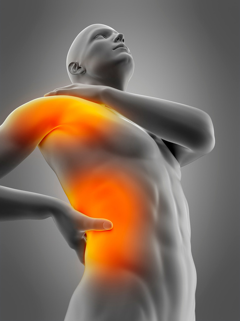 "Human shoulder and waist pain