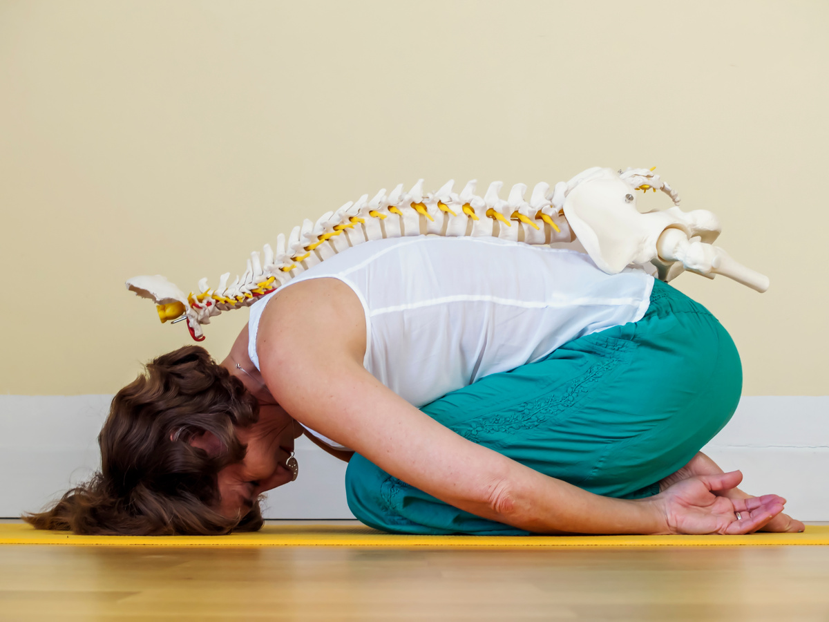 Spinal Column
