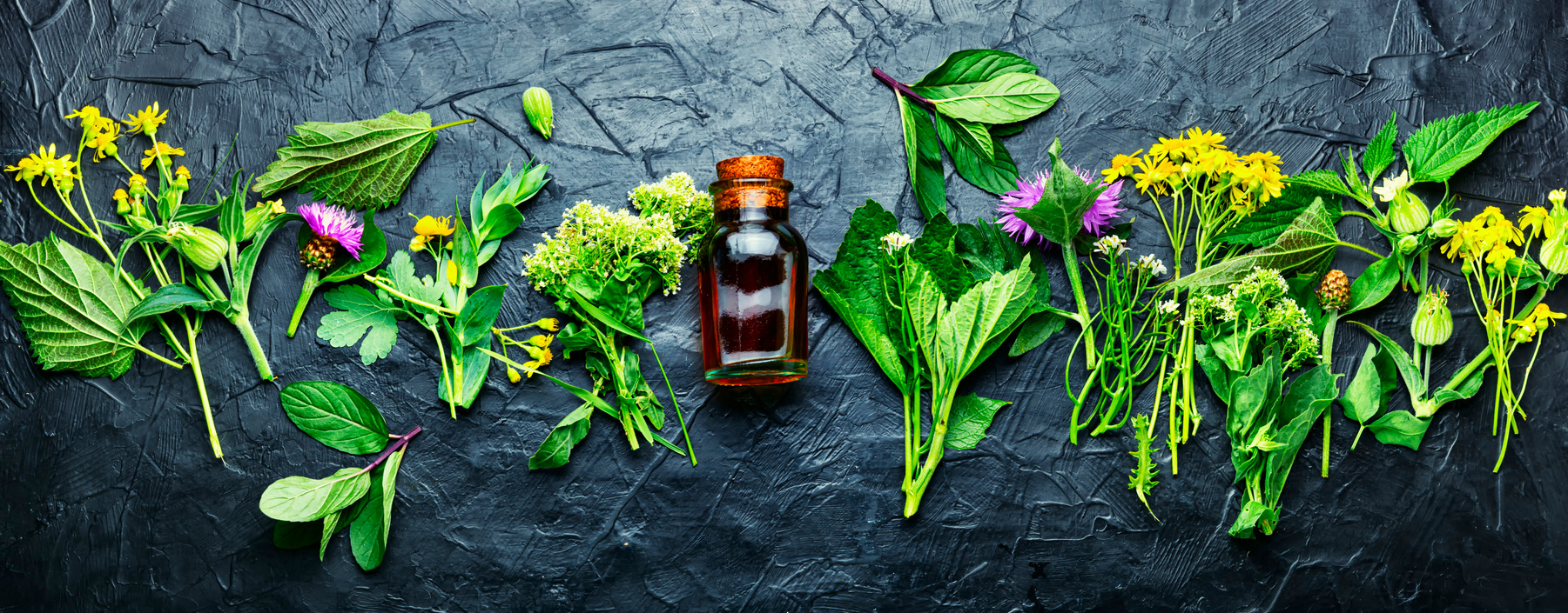 Natural Medicine,Fresh Herbs